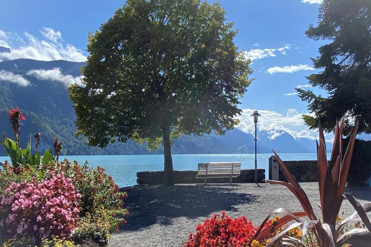 Holiday Apartments Falke Brienz  Eksteriør bilde